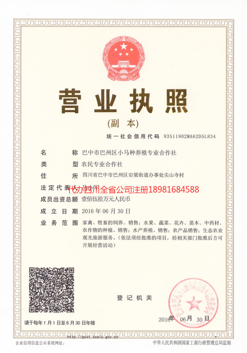 五常五常小马种养殖专业合作社